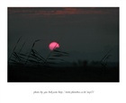 dailyPhoto5
